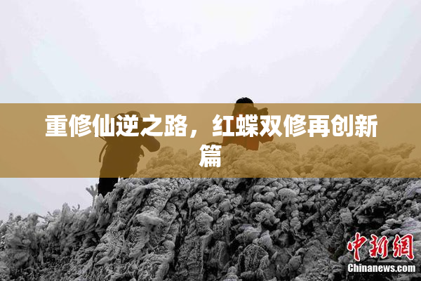 重修仙逆之路，红蝶双修再创新篇