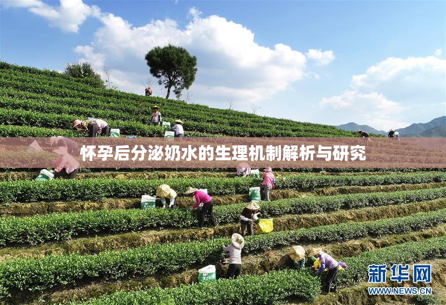 怀孕后分泌奶水的生理机制解析与研究