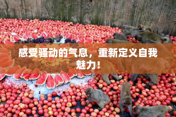 感受骚动的气息，重新定义自我魅力！