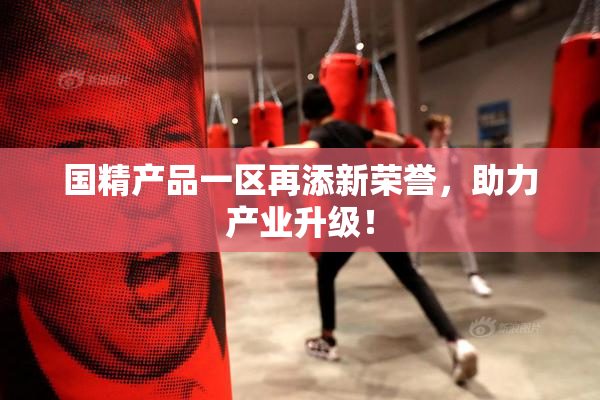 国精产品一区再添新荣誉，助力产业升级！