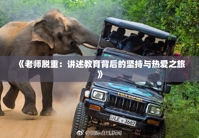 《老师脱重：讲述教育背后的坚持与热爱之旅》
