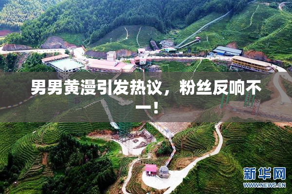 男男黄漫引发热议，粉丝反响不一！