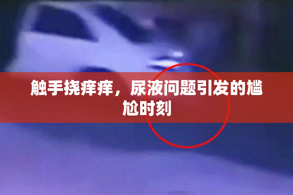触手挠痒痒，尿液问题引发的尴尬时刻