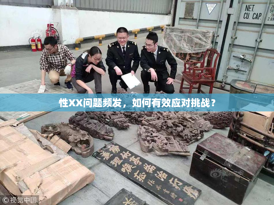 性XX问题频发，如何有效应对挑战？