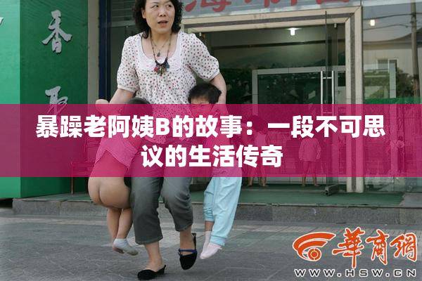 暴躁老阿姨B的故事：一段不可思议的生活传奇