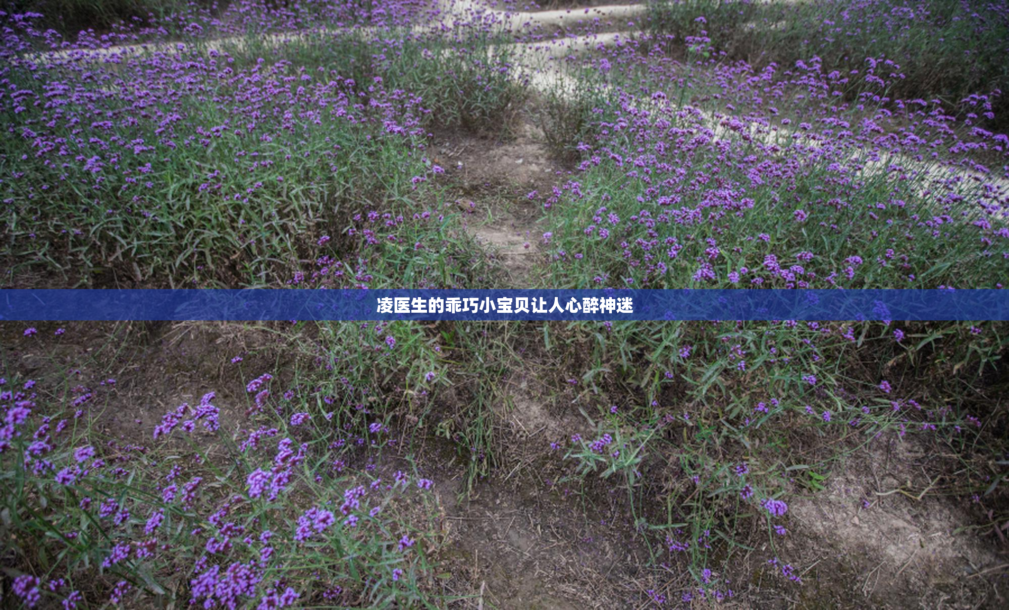 凌医生的乖巧小宝贝让人心醉神迷
