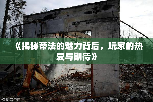 《揭秘蒂法的魅力背后，玩家的热爱与期待》