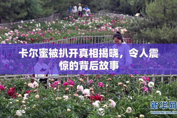 卡尔蜜被扒开真相揭晓，令人震惊的背后故事