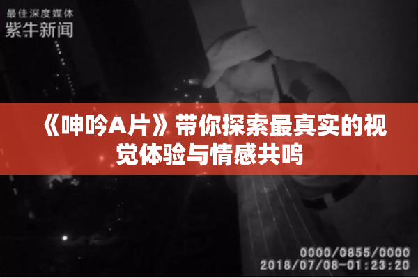 《呻吟A片》带你探索最真实的视觉体验与情感共鸣
