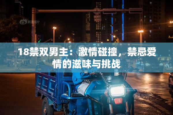 18禁双男主：激情碰撞，禁忌爱情的滋味与挑战