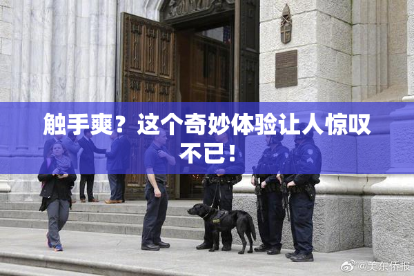 触手爽？这个奇妙体验让人惊叹不已！