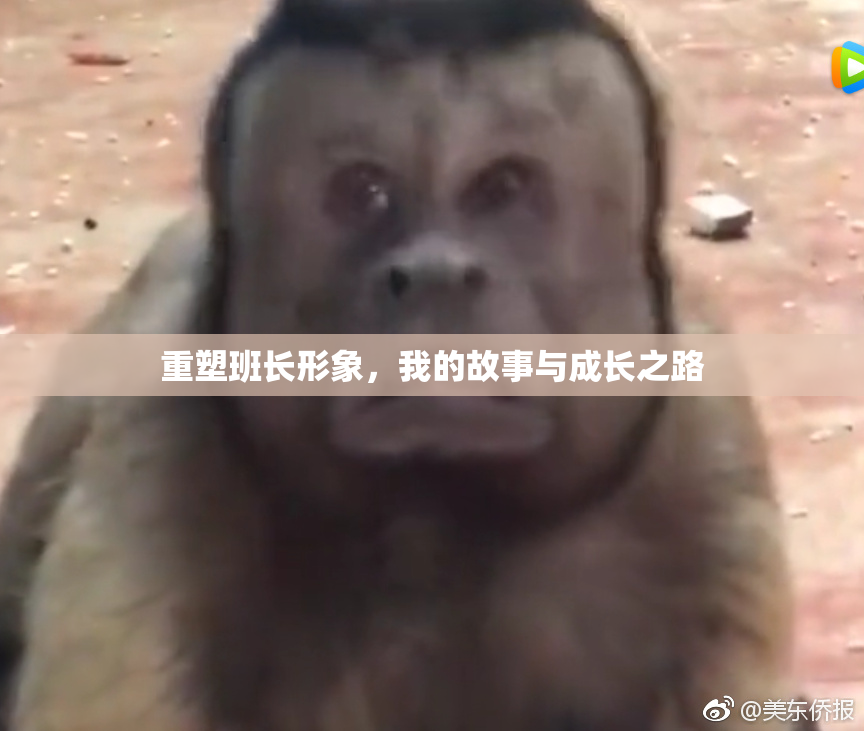 重塑班长形象，我的故事与成长之路