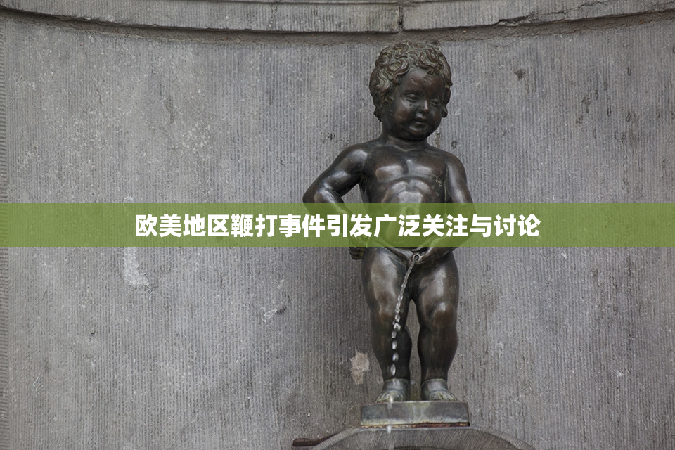 欧美地区鞭打事件引发广泛关注与讨论