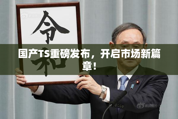 国产TS重磅发布，开启市场新篇章！