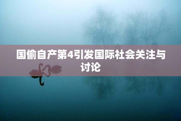 国偷自产第4引发国际社会关注与讨论