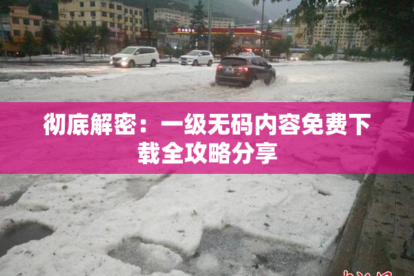 彻底解密：一级无码内容免费下载全攻略分享