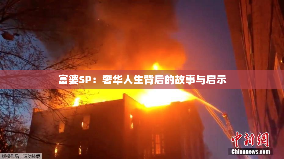 富婆SP：奢华人生背后的故事与启示
