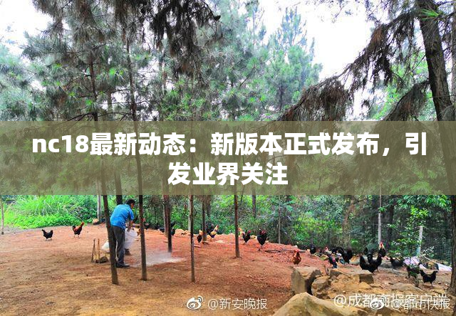 nc18最新动态：新版本正式发布，引发业界关注