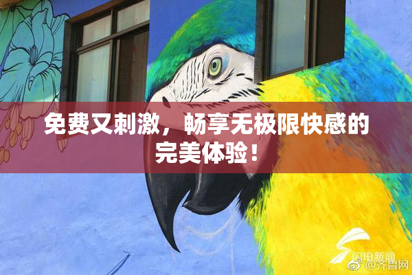 免费又刺激，畅享无极限快感的完美体验！