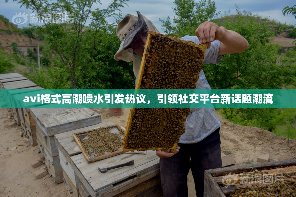 avi格式高潮喷水引发热议，引领社交平台新话题潮流