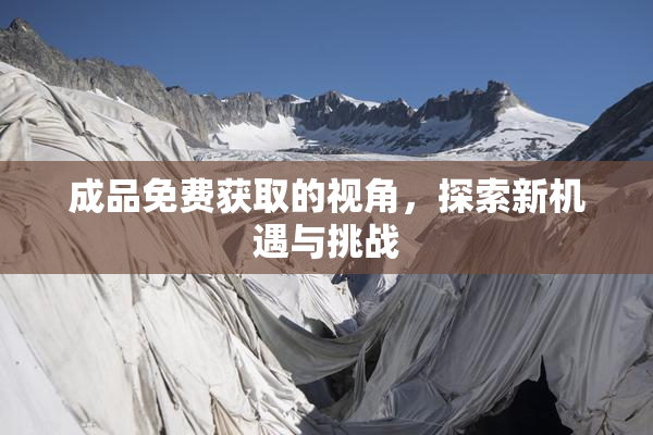 成品免费获取的视角，探索新机遇与挑战