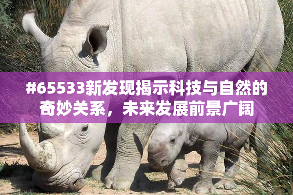 #65533新发现揭示科技与自然的奇妙关系，未来发展前景广阔