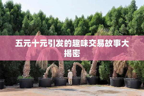 五元十元引发的趣味交易故事大揭密