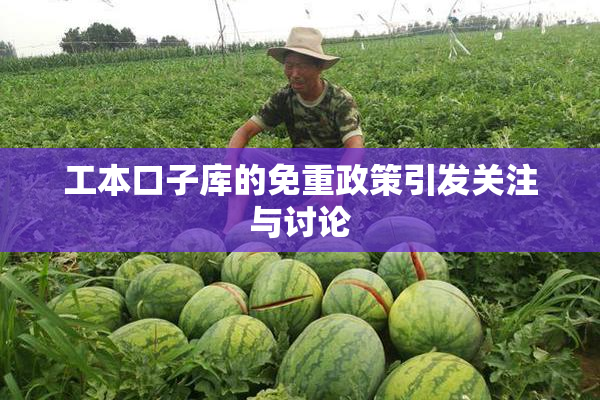 工本口子库的免重政策引发关注与讨论