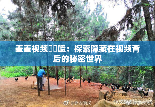 羞羞视频❌‌喷：探索隐藏在视频背后的秘密世界