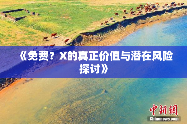 《免费？X的真正价值与潜在风险探讨》