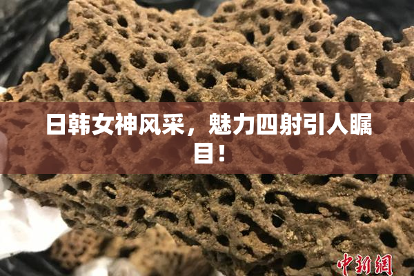 日韩女神风采，魅力四射引人瞩目！