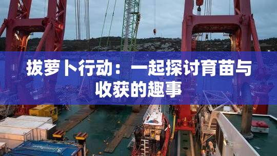 拔萝卜行动：一起探讨育苗与收获的趣事