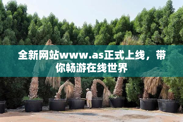 全新网站www.as正式上线，带你畅游在线世界