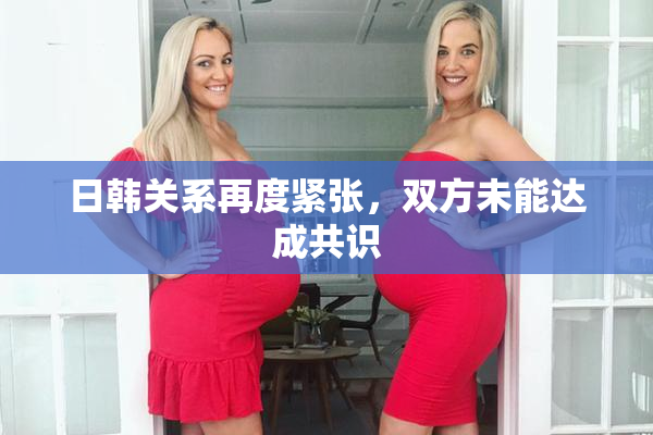 日韩关系再度紧张，双方未能达成共识