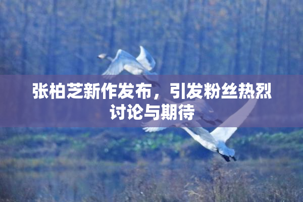 张柏芝新作发布，引发粉丝热烈讨论与期待