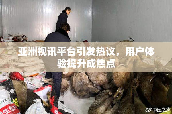 亚洲视讯平台引发热议，用户体验提升成焦点