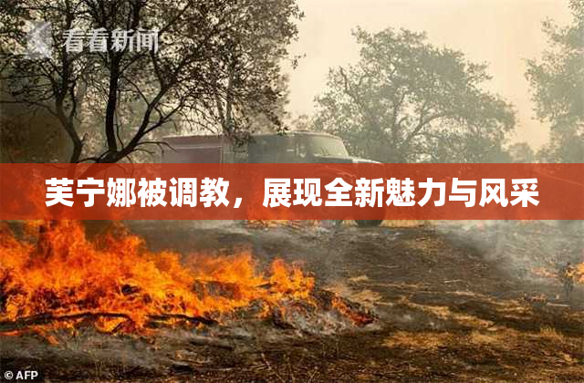 芙宁娜被调教，展现全新魅力与风采