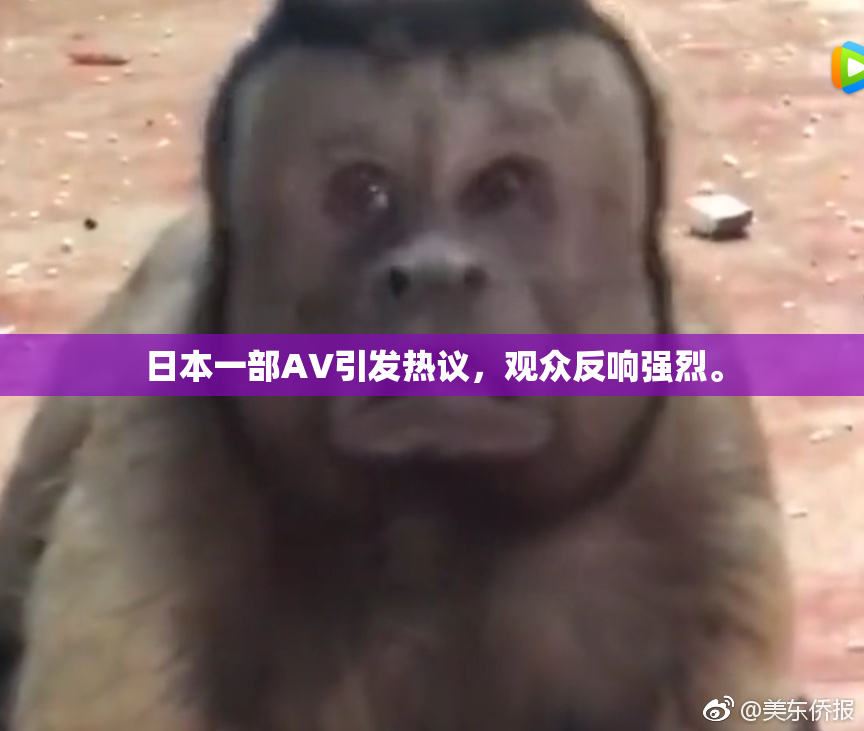 日本一部AV引发热议，观众反响强烈。