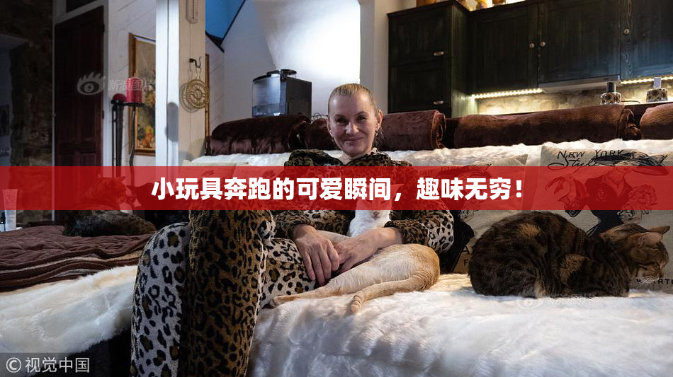 小玩具奔跑的可爱瞬间，趣味无穷！