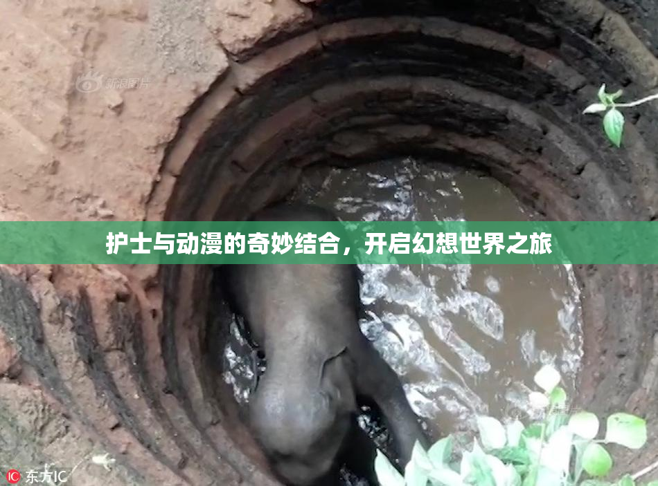 护士与动漫的奇妙结合，开启幻想世界之旅