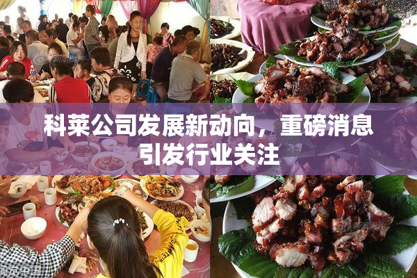 科莱公司发展新动向，重磅消息引发行业关注