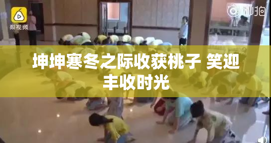坤坤寒冬之际收获桃子 笑迎丰收时光