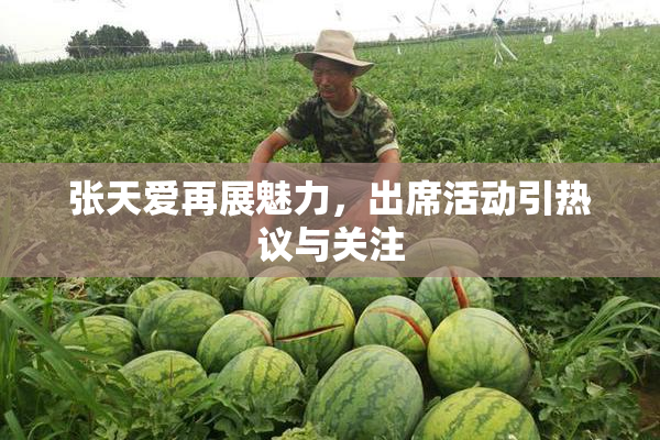 张天爱再展魅力，出席活动引热议与关注