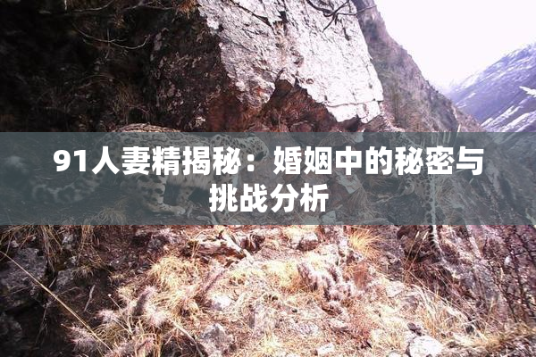 91人妻精揭秘：婚姻中的秘密与挑战分析