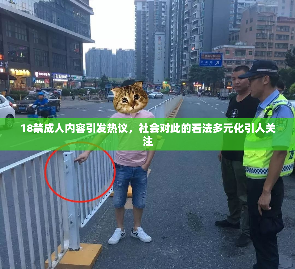 18禁成人内容引发热议，社会对此的看法多元化引人关注