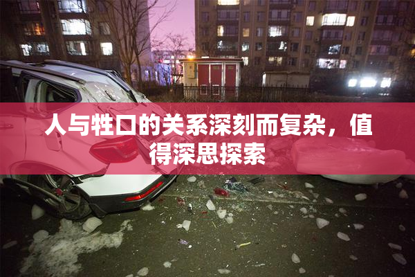 人与牲口的关系深刻而复杂，值得深思探索