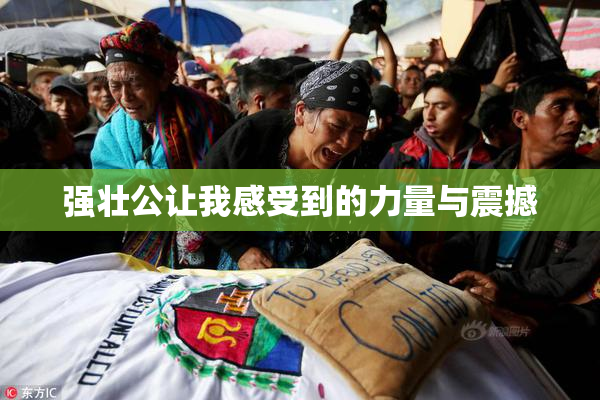 强壮公让我感受到的力量与震撼