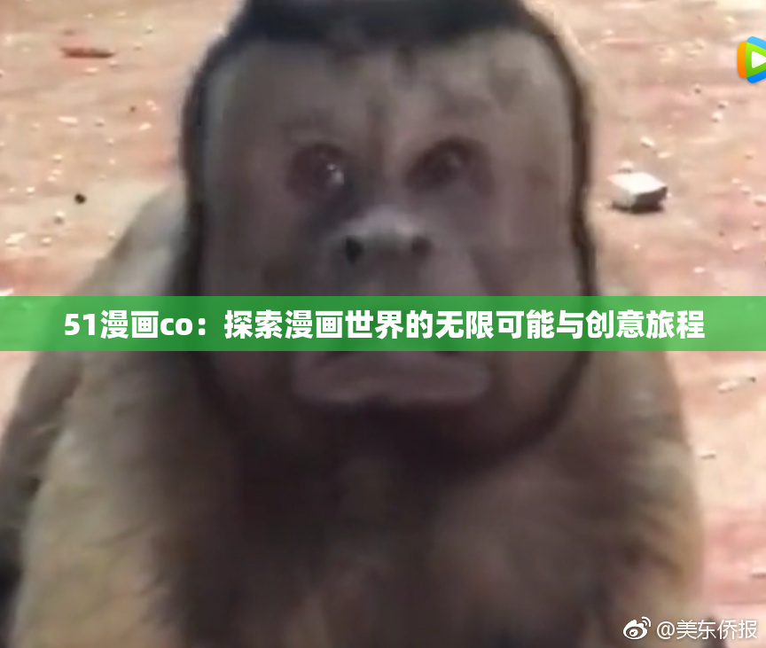 51漫画co：探索漫画世界的无限可能与创意旅程