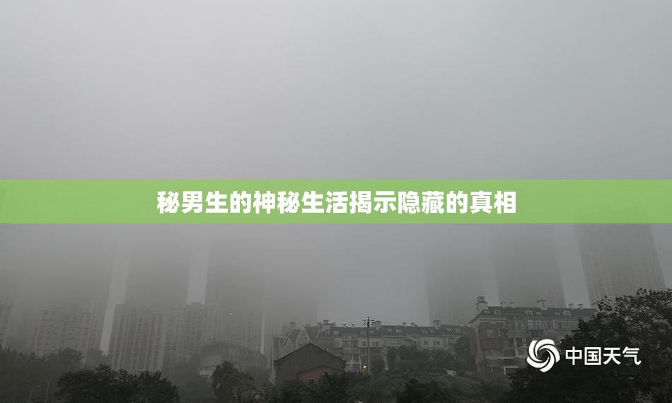 秘男生的神秘生活揭示隐藏的真相