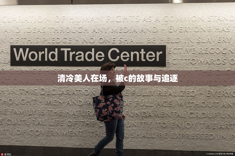 清冷美人在场，被c的故事与追逐
